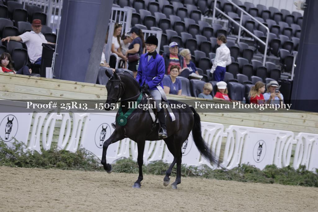 Proof 25R13_15051