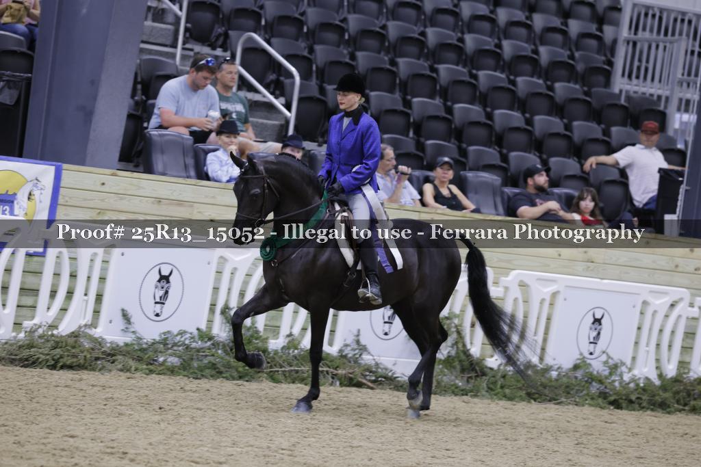 Proof 25R13_15052