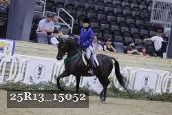 25R13_15052 proof