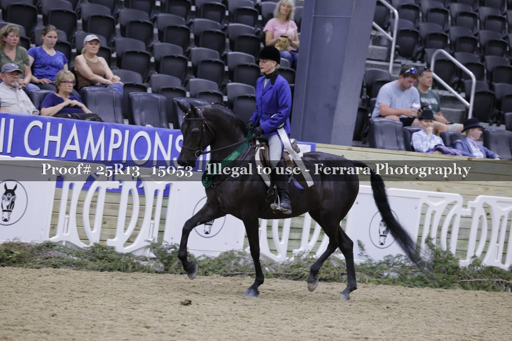 Proof 25R13_15053