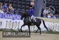 25R13_15053 proof