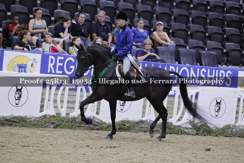 Proof 25R13_15054