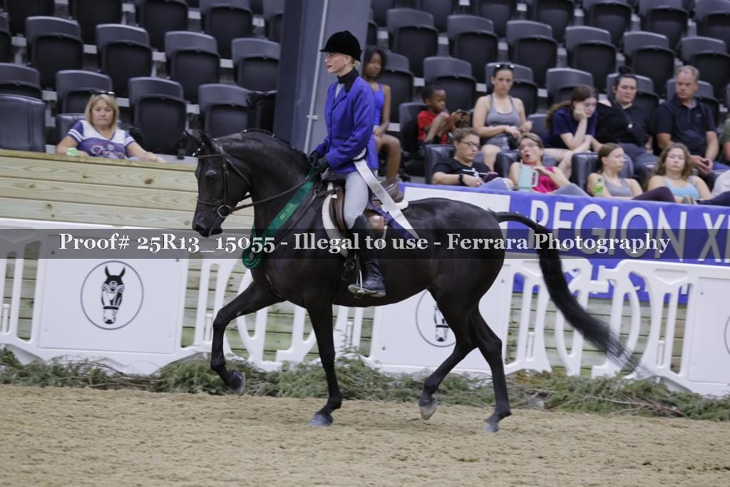 Proof 25R13_15055