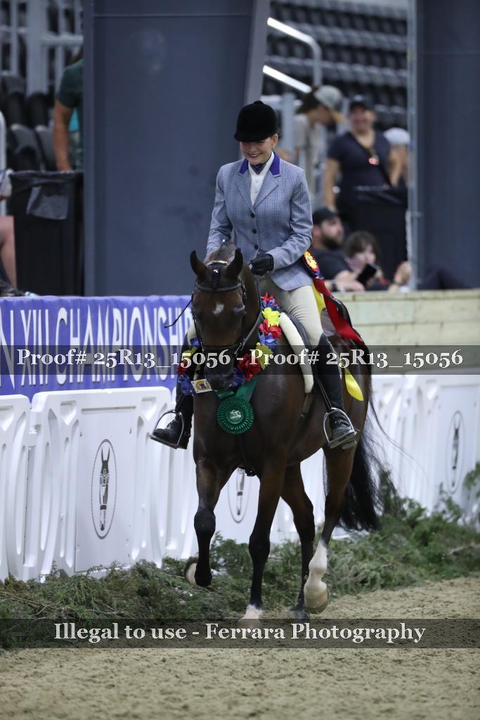 Proof 25R13_15056
