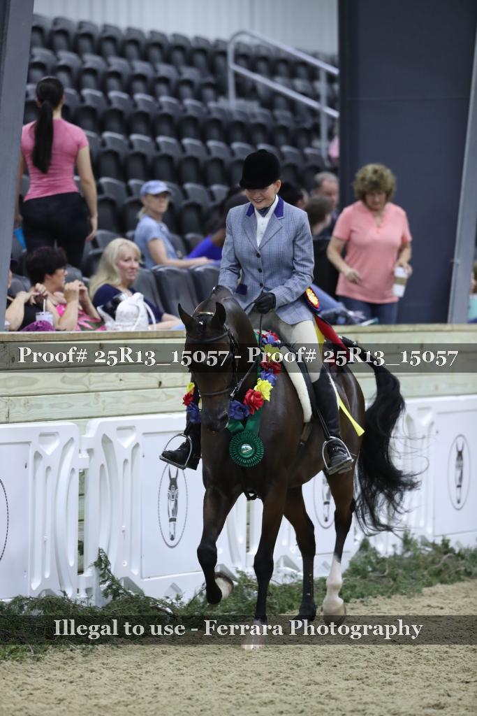 Proof 25R13_15057