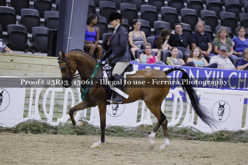 Proof 25R13_15061