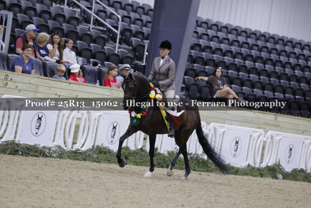 Proof 25R13_15062