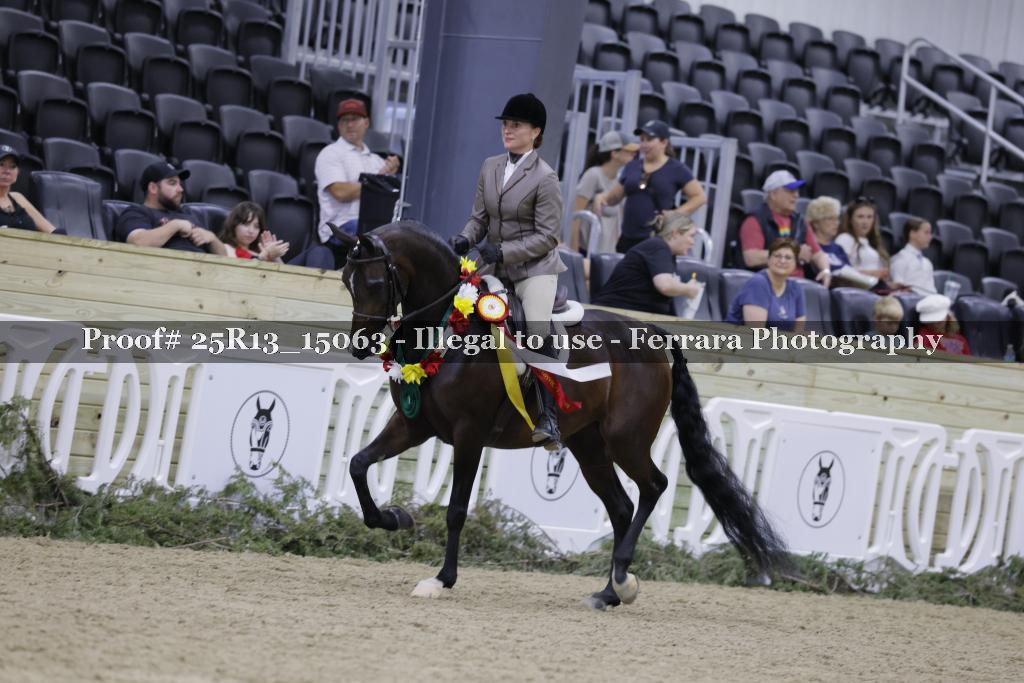 Proof 25R13_15063