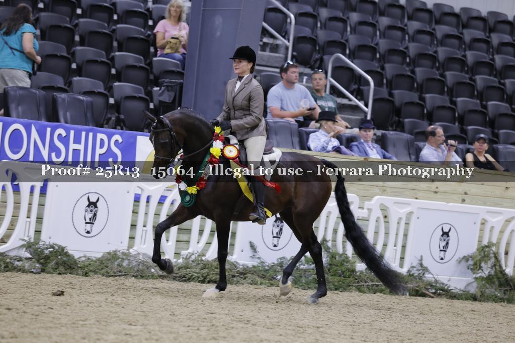 Proof 25R13_15064
