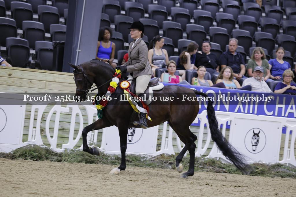 Proof 25R13_15066