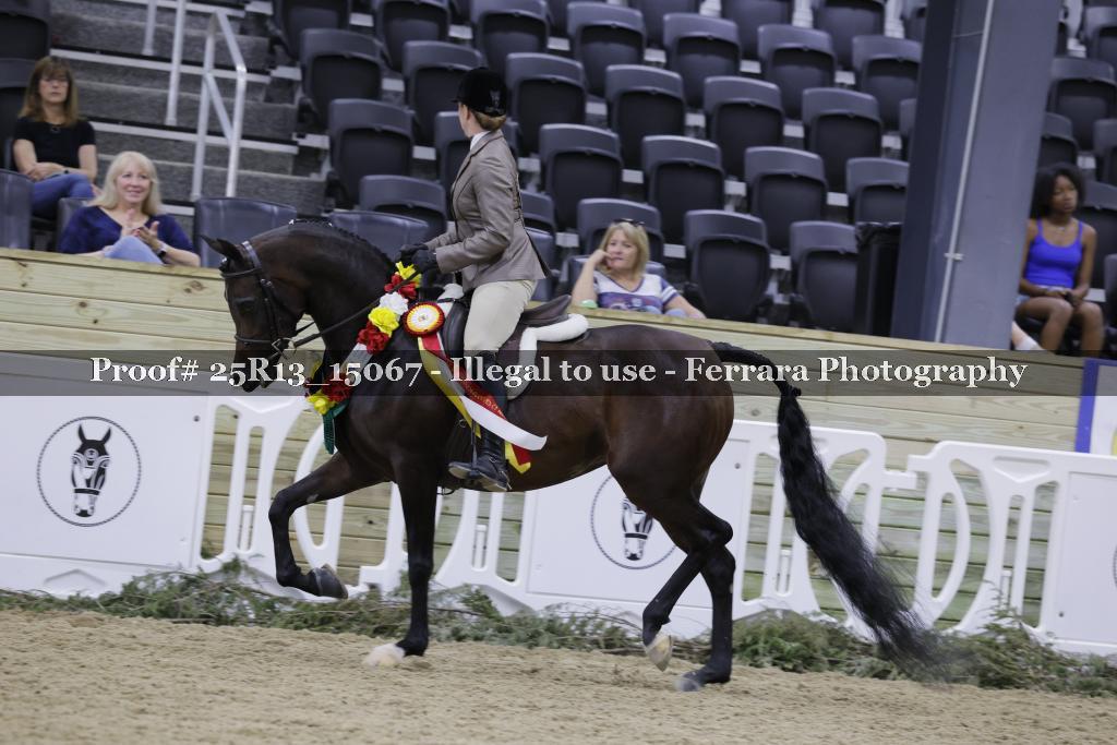 Proof 25R13_15067