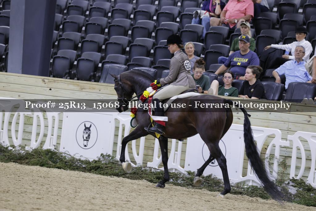 Proof 25R13_15068