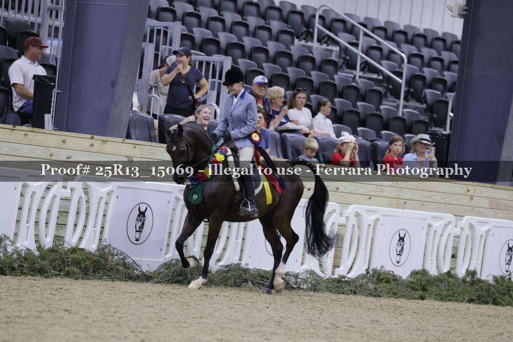 Proof 25R13_15069