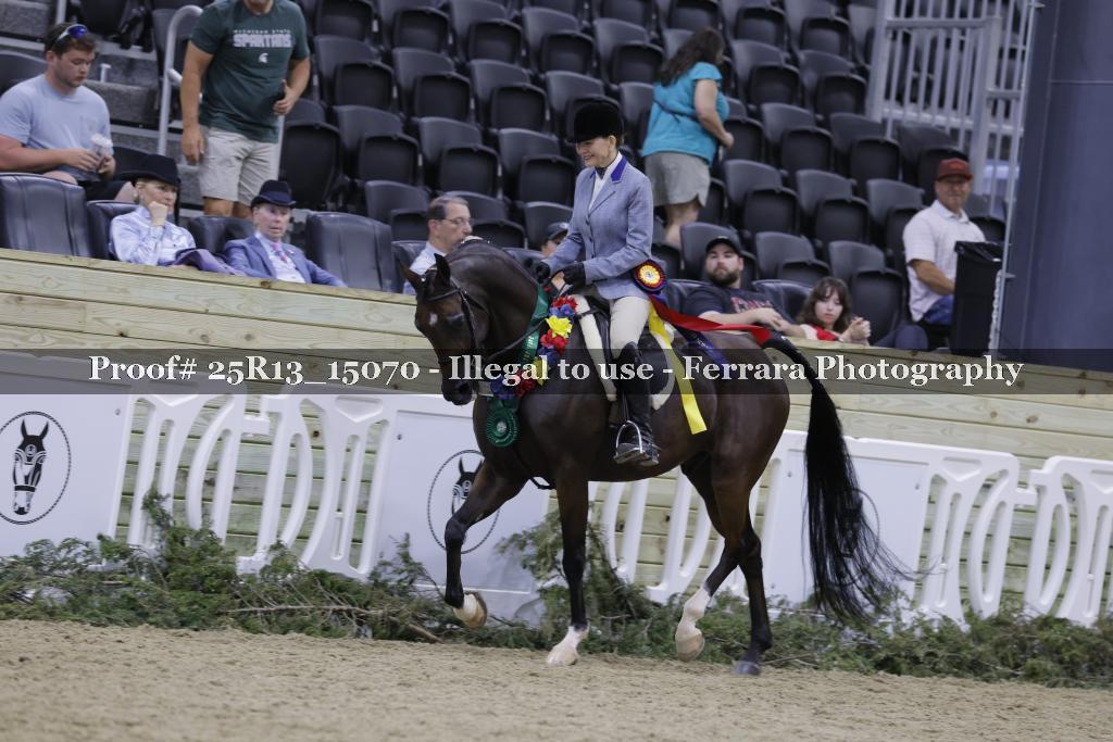 Proof 25R13_15070