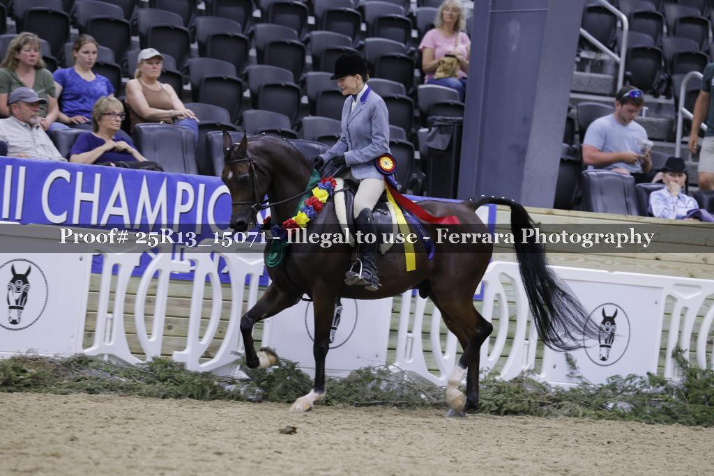 Proof 25R13_15071