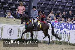 25R13_15072 proof
