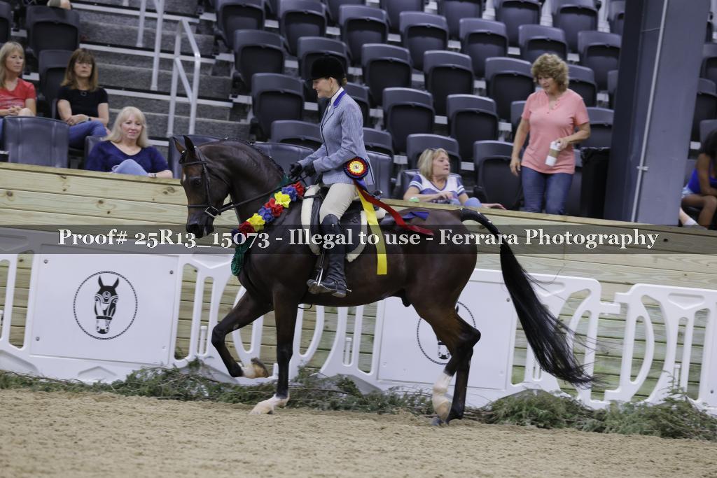 Proof 25R13_15073