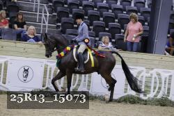 25R13_15073 proof