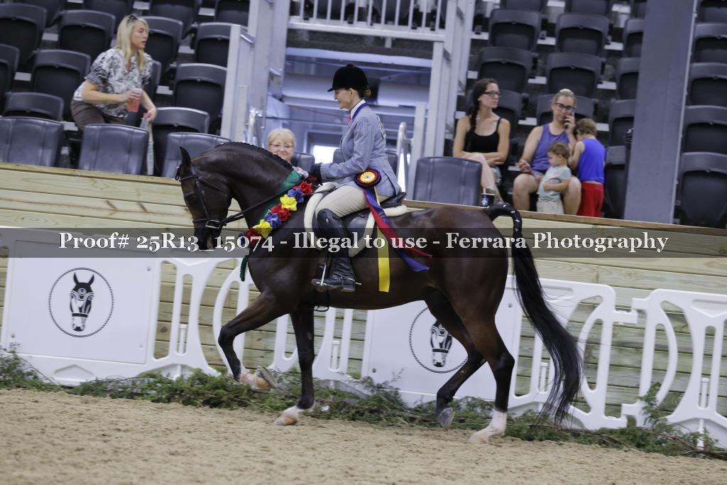 Proof 25R13_15074