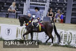 25R13_15074 proof