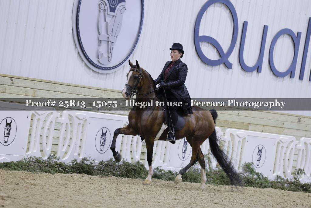 Proof 25R13_15075