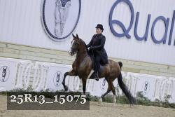 25R13_15075 proof