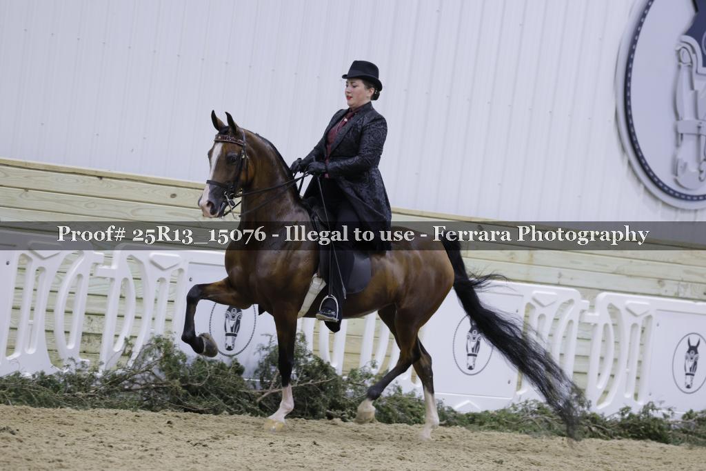 Proof 25R13_15076