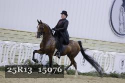 25R13_15076 proof