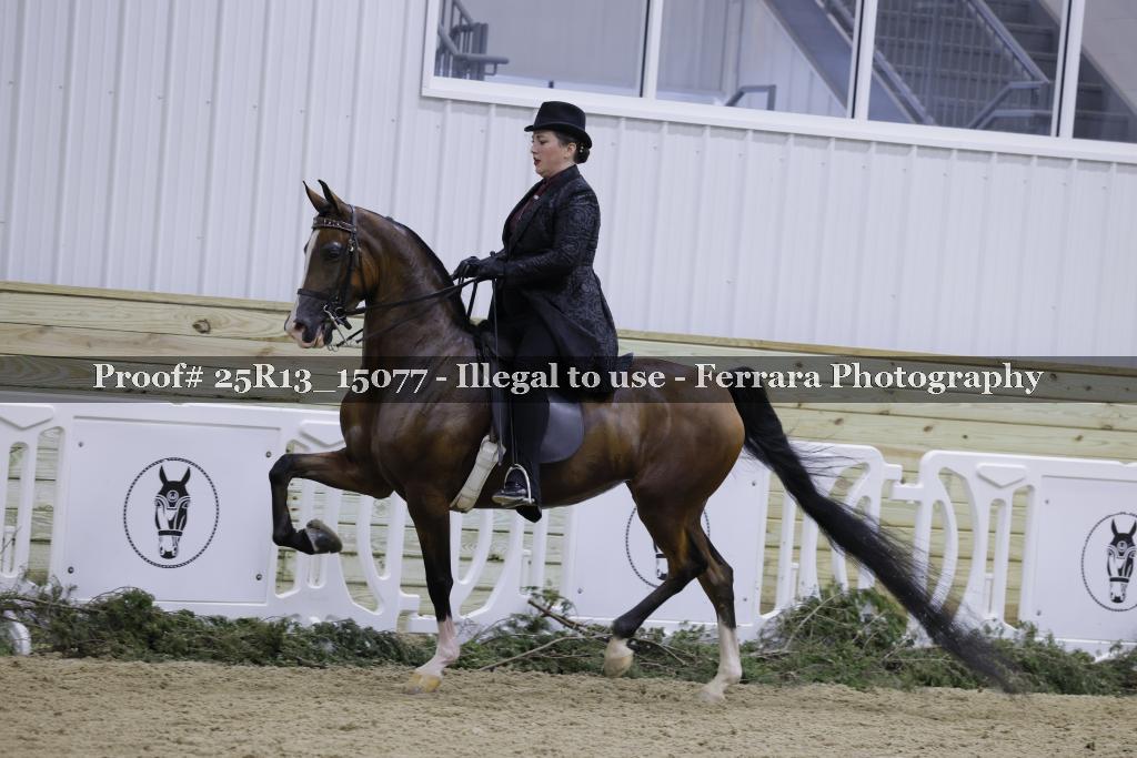 Proof 25R13_15077