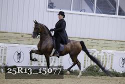 25R13_15077 proof