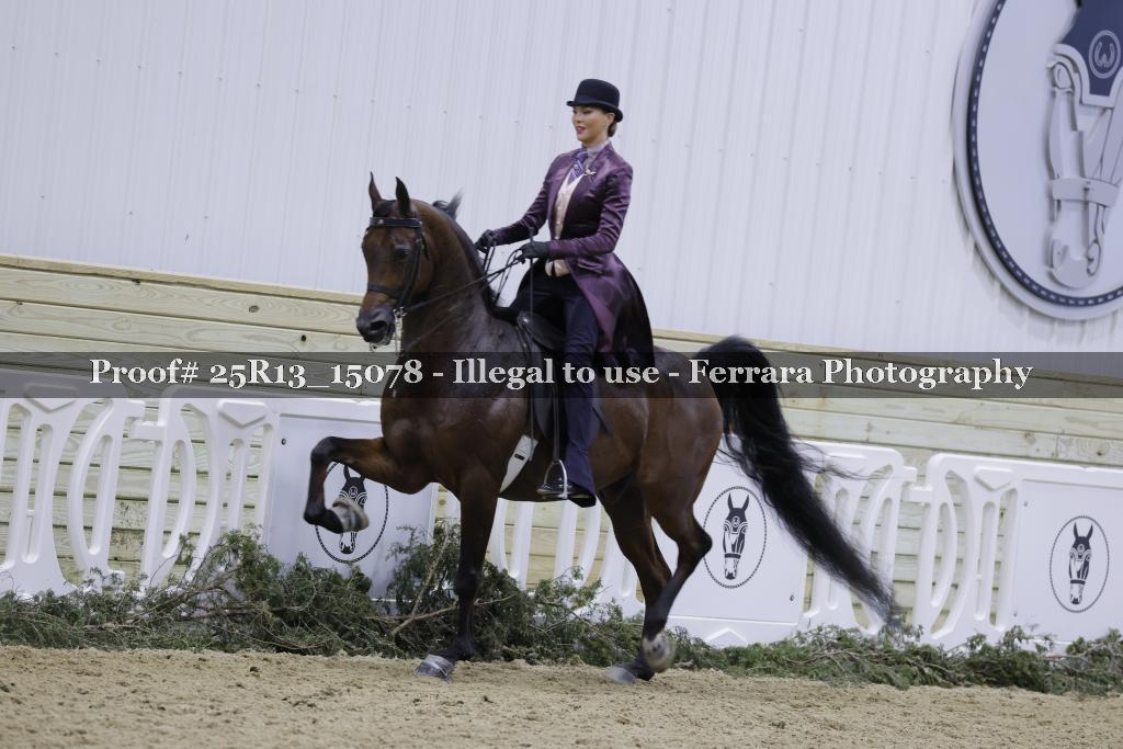 Proof 25R13_15078