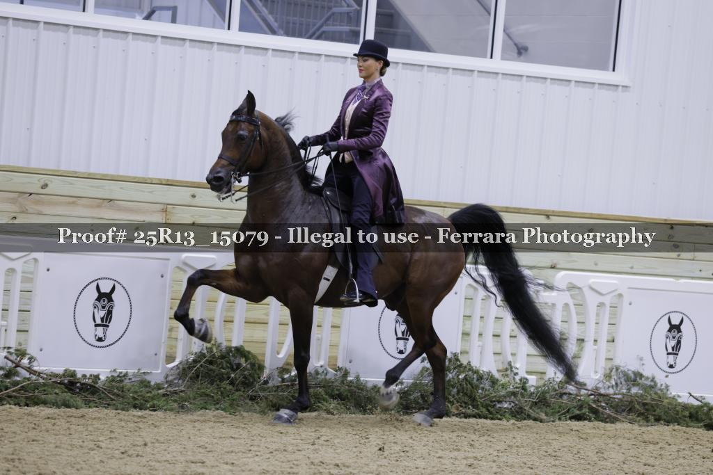 Proof 25R13_15079