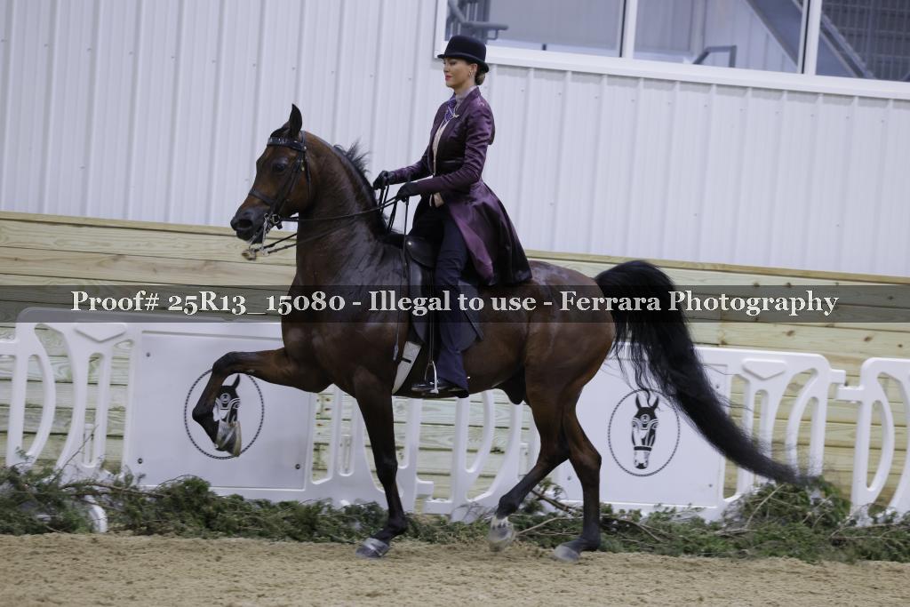 Proof 25R13_15080