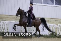 25R13_15080 proof