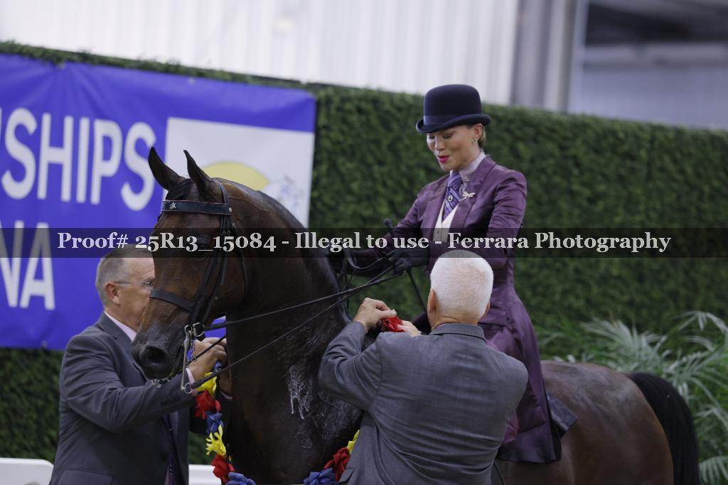 Proof 25R13_15084
