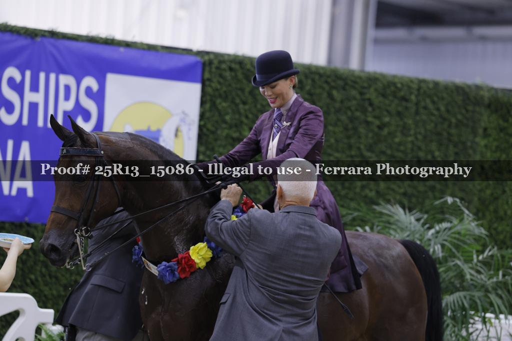 Proof 25R13_15086