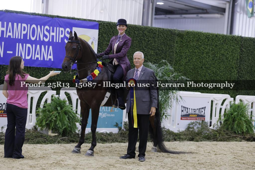 Proof 25R13_15087
