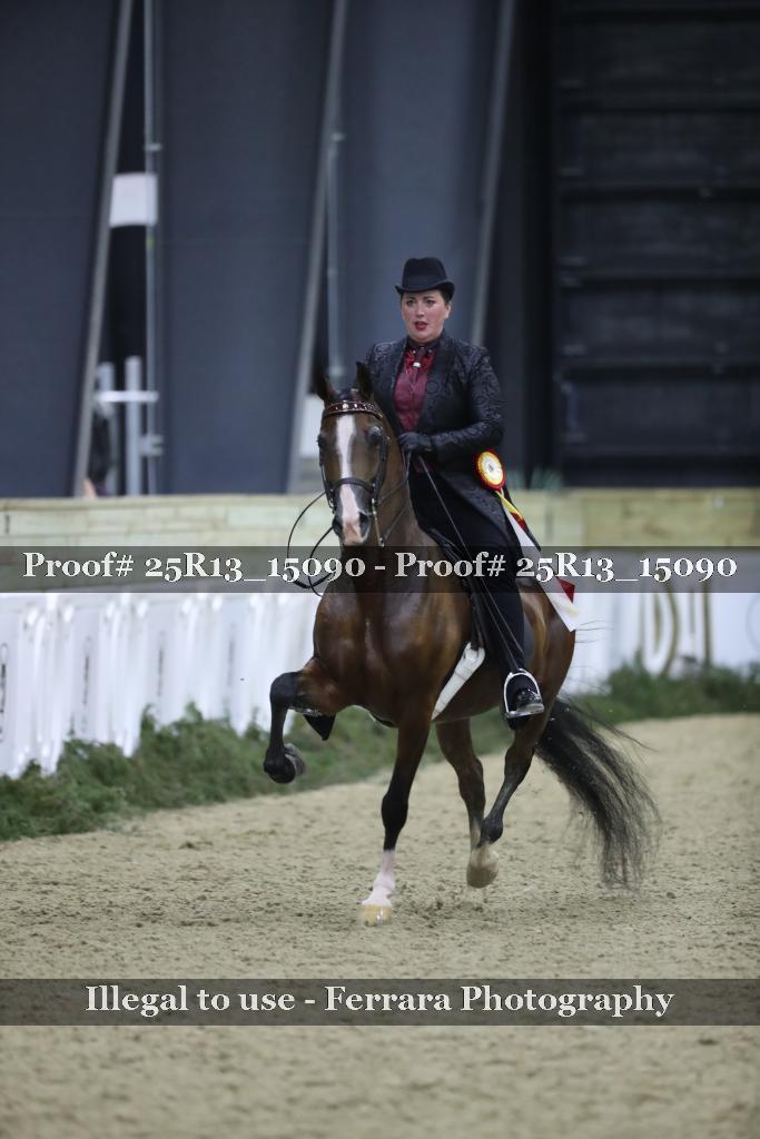 Proof 25R13_15090