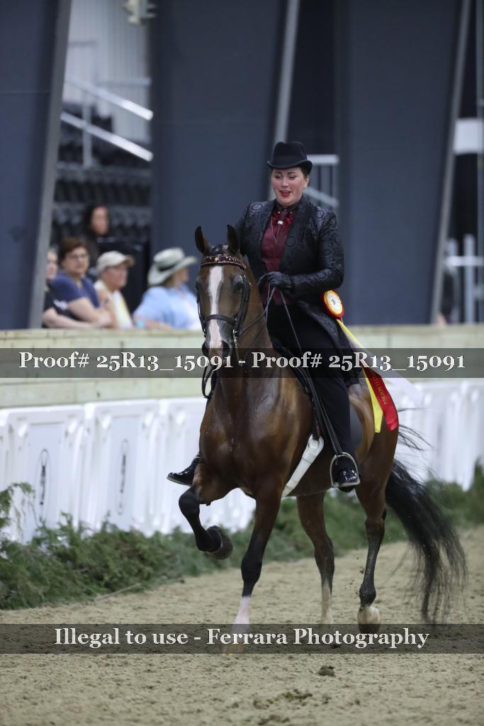 Proof 25R13_15091