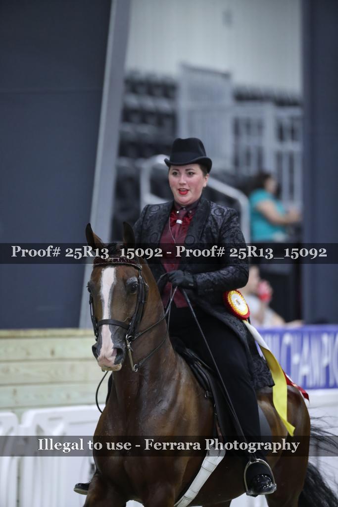 Proof 25R13_15092