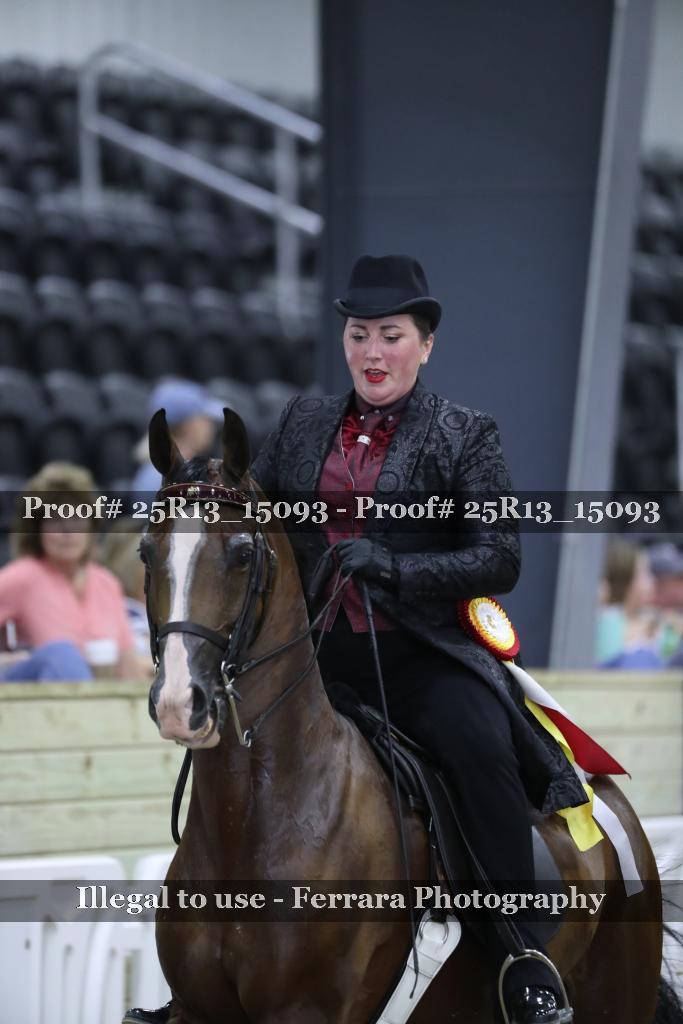 Proof 25R13_15093