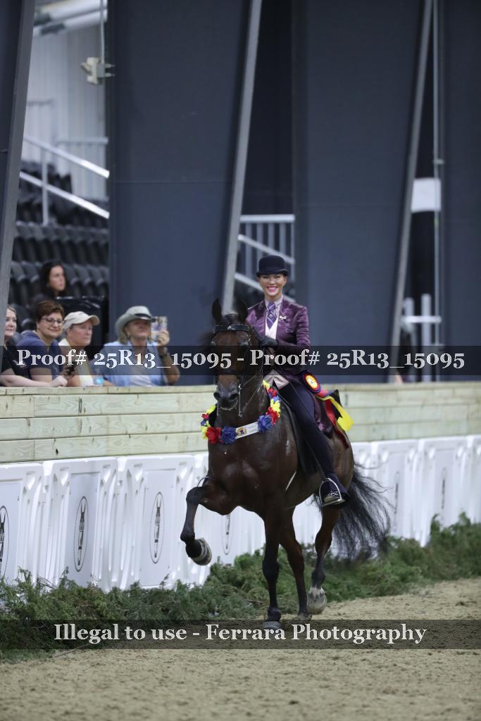 Proof 25R13_15095