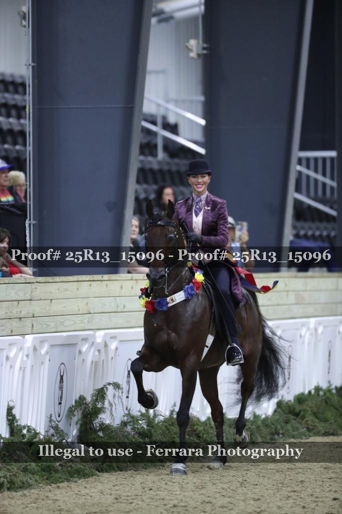 Proof 25R13_15096