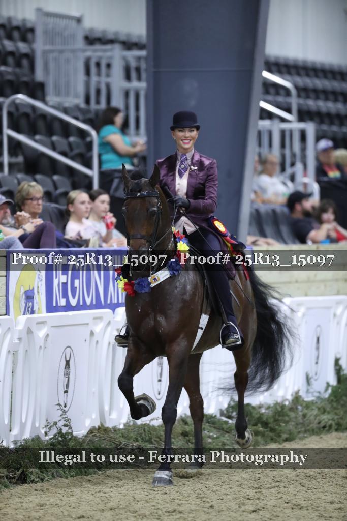 Proof 25R13_15097