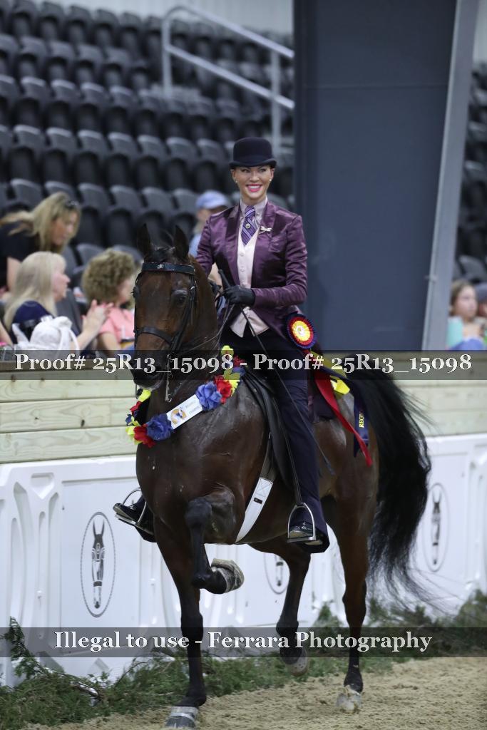 Proof 25R13_15098