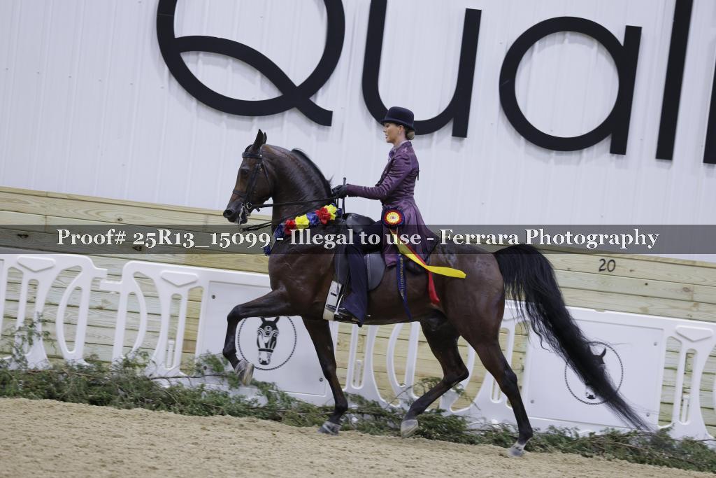 Proof 25R13_15099