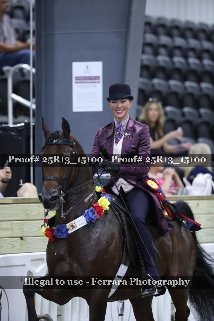 Proof 25R13_15100