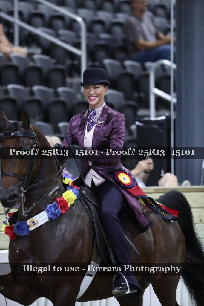 Proof 25R13_15101