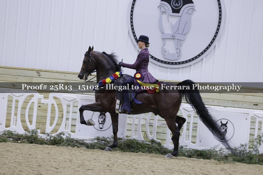 Proof 25R13_15102