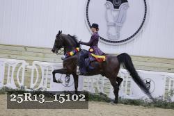 25R13_15102 proof